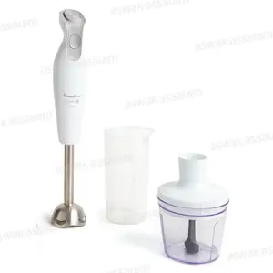 MIXEUR PLONGEANT AVEC ACCESSOIRES 600W INOX DAILYCHEF DD552110 MOULINEX