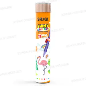 12 CRAYONS DE COULEUR EN TUBE SHINY SILKA