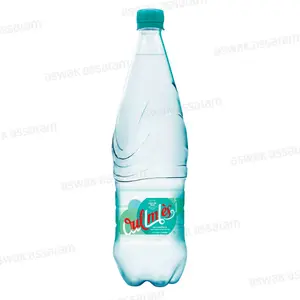 EAU GAZEUSE LEGERE 1L OULMES