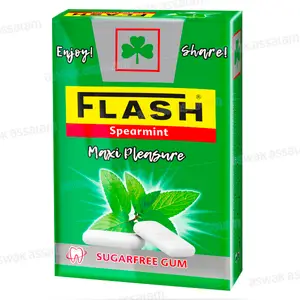CHEWING-GUM SPEARMINT SANS SUCRE DRAGEES 25G FLIP-TOP FLASH