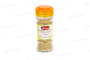 GINGEMBRE 25G JAVANA