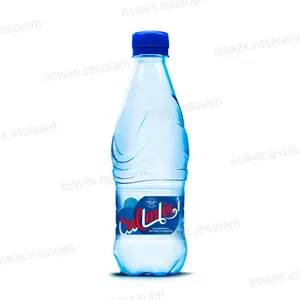 EAU GAZEUSE 33CL OULMES