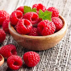 FRAMBOISE BARQUETTE 125G