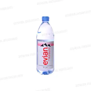 EAU MINERALE NATURELLE 1L EVIAN