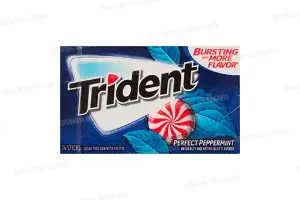 CHEWING-GUM PEPPERMINT SANS SUCRE 14 PIECES TRIDENT