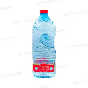 EAU MINERALE NATURELLE 2,5L AIN SOLTANE