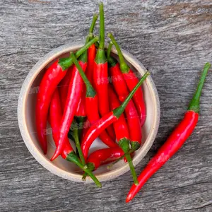 PIMENT FORT BARQUETTE 500G