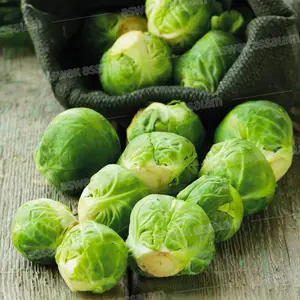 CHOU DE BRUXELLES 500G