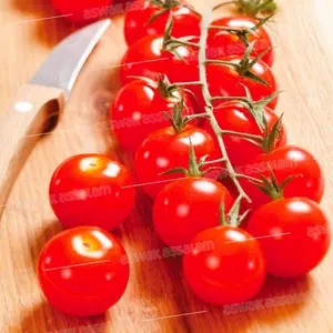 TOMATE CERISE 1KG