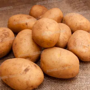 POMME DE TERRE BLANCHE 1KG