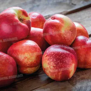 NECTARINE 1KG