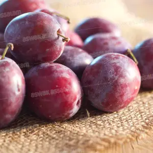 PRUNE NOIR 1KG