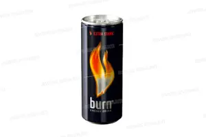 BOISSON ENERGETIQUE 25CL BURN