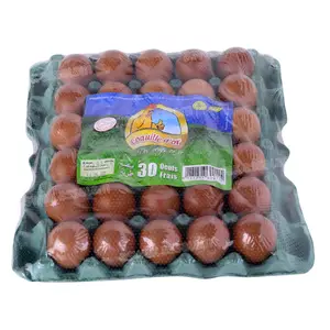 OEUF CALIBRE +/- 50G PLATEAU DE 30 1.650KG COQUILLE D'OR