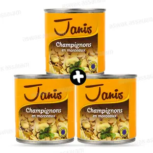 CHAMPIGNON EN MORCEAUX 3*185G JANIS