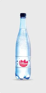 Eau minérale gazeuse 1L – AÏN SOLTANE