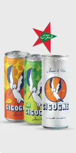 Boisson gazeuse 25cl divers parfums – LA CIGOGNE