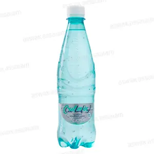 EAU GAZEUSE LEGERE 50CL OULMES