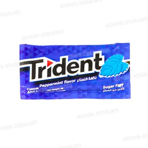CHEWING-GUM PEPERMINT A L'UNITE TRIDENT