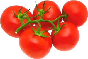 TOMATES RONDES EN GRAPPE SUPPRIME LE 10 09