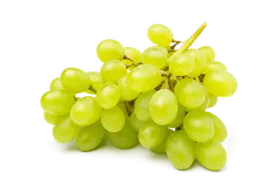 RAISIN BLANC DE SICILE