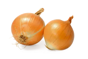 OIGNONS JAUNES