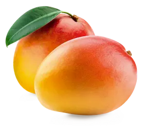 MANGUE