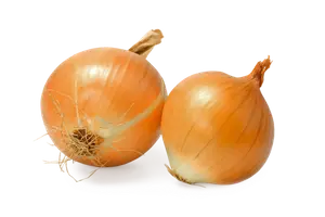 OIGNONS JAUNES
