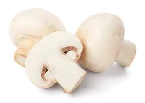 CHAMPIGNONS BLANCS