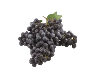 RAISIN MUSCAT FILIÈRE AUCHAN "CULTIVONS LE BON"