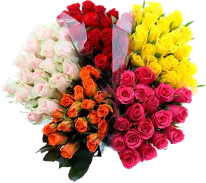 BOUQUET DE 18 ROSES