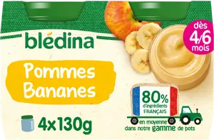 PETITS POTS DESSERTS POMMES BANANES BLÉDINA