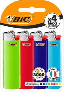 BRIQUET BIC