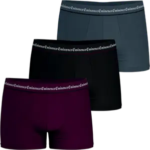 BOXERS HOMME BUSINESS EMINENCE