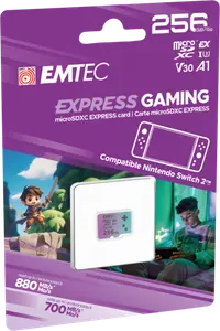 CARTE MÉMOIRE MICRO SD 256 GO UHS-I U3 V30
