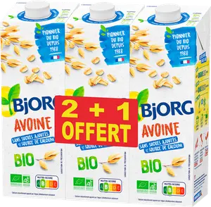 BOISSON VÉGÉTALE D'AVOINE BIO BJORG
