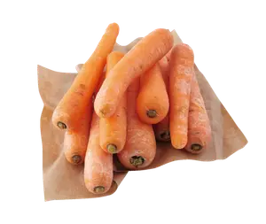 CAROTTES BIO
