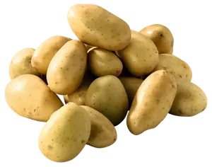POMMES DE TERRE DE CONSOMMATION AUCHAN