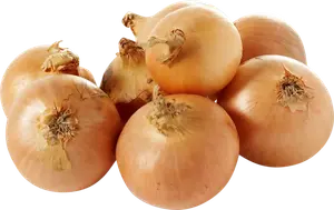 OIGNONS BIO AUCHAN