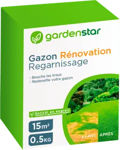 GAZON REGARNISSAGE 0,5 KG
