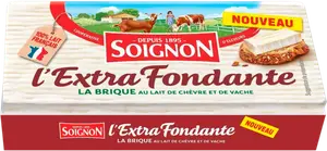 BRIQUE DE CHÈVRE L'EXTRA FONDANTE SOIGNON