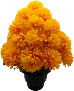 COMPOSITION DE CHRYSANTHÈMES