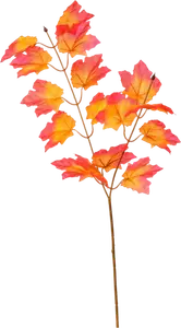 DÉCORATION AUTOMNE