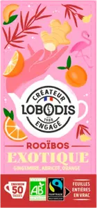 INFUSION THÉ SAVEUR EXOTIQUE BIO LOBODIS