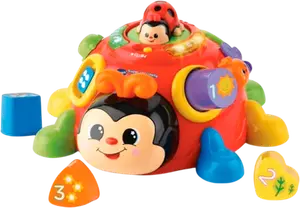 SUPER COCCINELLE DES FORMES
