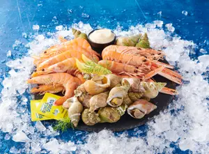 PLATEAU FRUITS DE MER "LE RÉCIF"