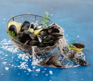MOULES DE CORDE DE MÉDITERRANÉE FILIÈRE AUCHAN "CULTIVONS LE BON"