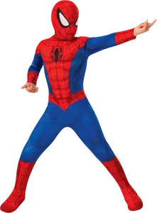 DEGUISEMENT SPIDER-MAN