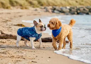ENSEMBLE CIRÉ + BANDANA POUR CHIEN TAILLE XS TERRE DE MARINS