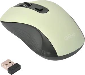 SOURIS SANS FIL VERTE
